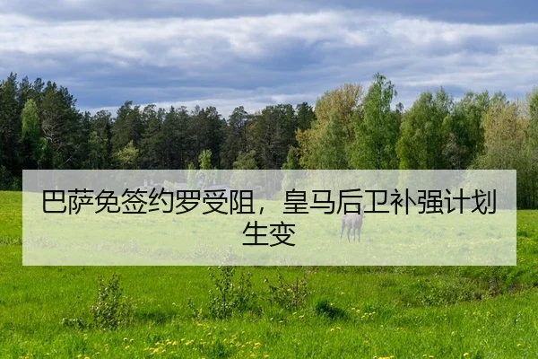 ba-sa-mian-qian-yue-luo-shou-zu-huang-ma-hou-wei-bu-qiang-ji-hua-sheng-bian-2-263.jpg
