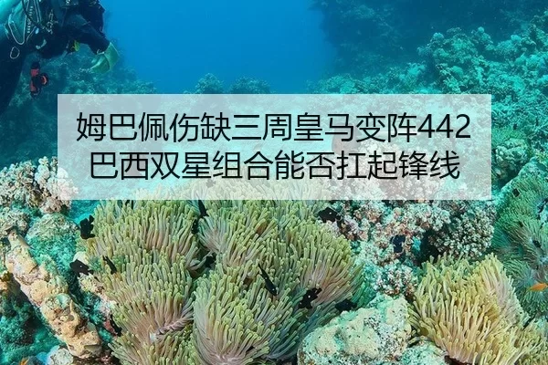 mu-ba-pei-shang-que-san-zhou-huang-ma-bian-zhen-ba-xi-shuang-xing-zu-he-neng-fou-kang-qi-feng-xian-3-821.jpg